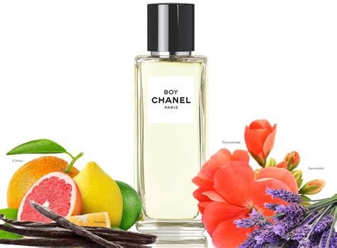 boy chanel parfum avis|chanel boy perfume reviews.